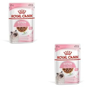 Royal Canin Kitten Nourriture Humide | Paquet Double | 2 x 12 x 85 g | Morceaux Fins en Sauce | Aliment Complet pour Chatons en deuxième Phase de Croissance jusqu'à 12 Mois