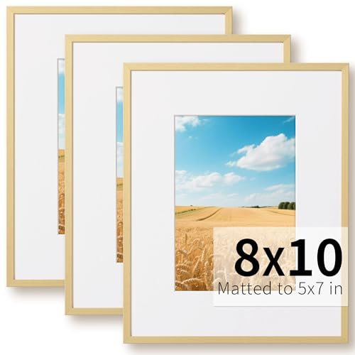 ZLG Golden 8x10 Frame, Premium 8x10 Metal Frame Matted to 5x7, Picture Frame, High Definition Plexiglass, Wall Hook Included, Set of 3