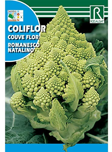 Semillas de Coliflor romanesco natalino - Calidad y Versatilidad ?