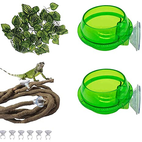 PINVNBY Reptile Suction Cup Feeder,Chameleon Feeding Food Bowl,Translucent Anti Escape Worm Live Fodder Container,Pet Ledge Water Dish Supplies for Lizard Gecko Bearded Dragon(4 Pcs)
