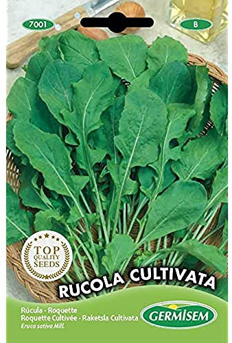 Germisem Rucola Cultivata Semillas de Rúcula 8 g (EC7001)