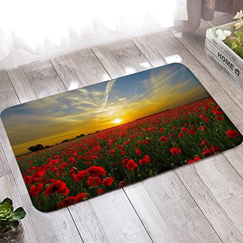 Bishilin Türmatten Haustür Innen 40x120, Badteppiche rutschfest Waschbar Sonnenuntergang und Rote Blumen Muster Fußmatten Haustür Wohnzimmer Kinderzimmer
