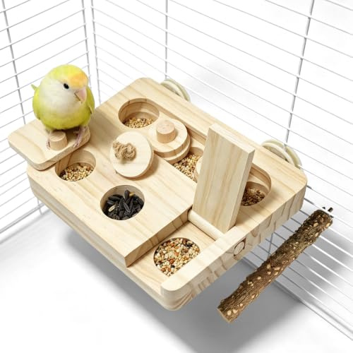 Jeu de Recherche de Nourriture pour Oiseaux, Jouet Perroquet en Bois Interactif avec Couvercle Coulissant et Perchoir Suspendu pour Perruches Calopsittes Inseparables Petits et Moyens Perroquets