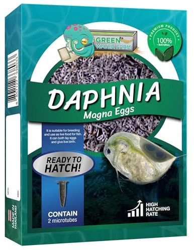 Greenwaterfarm Daphnia Magna Eggs Live Fish Food for Hatching and Culture, Suitable for Feed Betta Fish