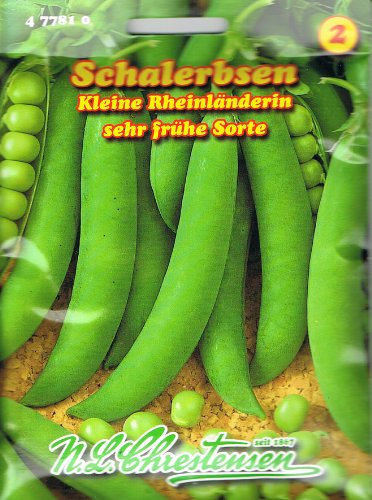 Schalerbsen 'Kleine Rheinländerin' sehr frühe Sorte, 50 cm hoch
