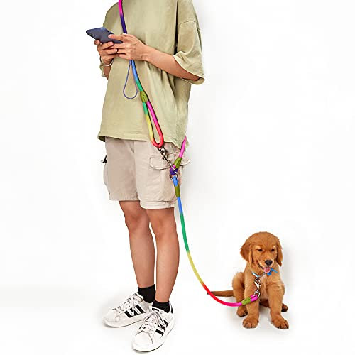 Hands Free Hundeleine 220cm Seil Crossbody Hundeleine Reflektierend für große mittlere kleine Hunde Gehen, Joggen und Laufen