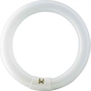 Roblan fluorescencia - Tubo fluorescente circular 22w 865k