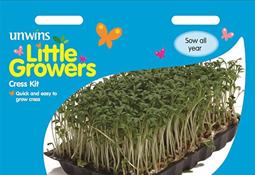 Unwins Pictorial Packet - Little Growers Cress Kit - 1000 Seeds