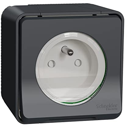Schneider Electric - Mureva Styl - Prise de courant 2P+T à vis - saillie - IP55 - IK08 - gris - MUR36030