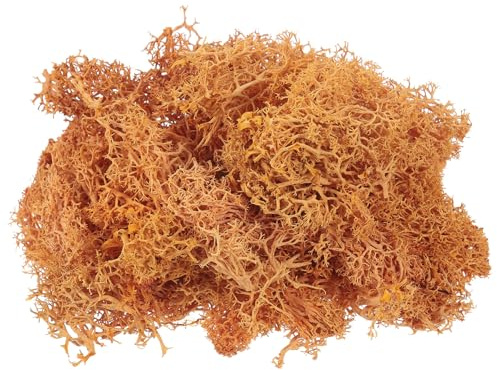 sourcing map 0.35 OZ Musgo Falso Musgo Artificial Musgo Natural Preservado para Manualidades Proyectos Florales DIY Decoración de Pared Boda Jardín Patio Mesa Terrarios (Naranja)