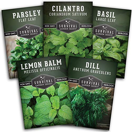 Easy to Grow Herb Seeds Variety Pack | 5 Heirloom Kitchen Herbs for Planting – Basil, Cilantro, Dill, Parsley, Lemon Balm – Indoor & Outdoor Growing for Kids & Beginners – Survival Garden Seeds