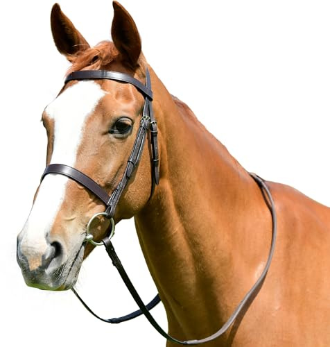 Kincade Classic Flat Hunt Bridle with Reins, Brown, Pony