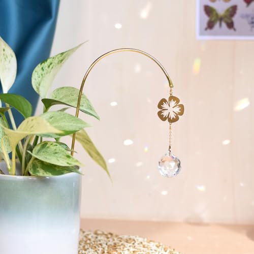 Attrape-Soleil à Planter Flora