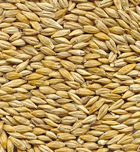 Mangimi Semplici a base di Cereali in natura e lavorati per l'Alimentazione degli animali da reddito e da compagnia (Orzo, 3 kg)