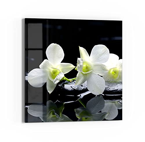 DEQORI Quadro in vetro acrilico, motivo orchidea con pietre Zen, quadrato, 50 x 50 cm, bella decorazione da parete per soggiorno, camera da letto, corridoio e cucina, decorazione moderna da parete