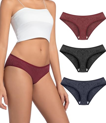 FORVEVO Merino Wool Underwear Women 3 Pack, Breathable Wooly Briefs, Hipster Ladies Panties Underwear, Moisture Wicking Soft Comfortable for Office, Hiking, Camping（Multicolor01，M）