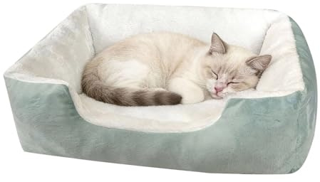 bayicie Letto rettangolare per animali domestici, comodo divano ortopedico per gatti, letto calmante per cani e gatti, disponibile in varie misure e colori