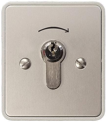 Kaiser Nienhaus 322610 1-seitiger Schalter Aufputz Schlüsselschalter, Schlüssel eingeschaltet abziehbar, Schutzart IP55