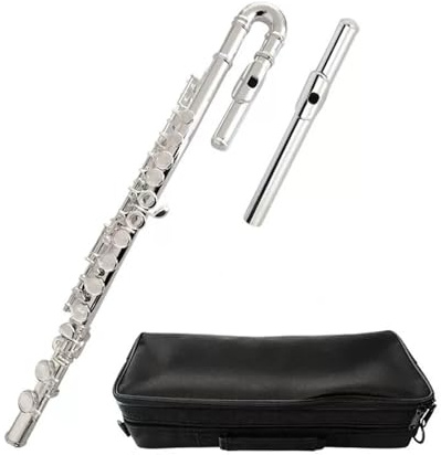 tvärflöjt instrument Professionellt instrument för nybörjarflöjt C-tangent flöjtinstrument