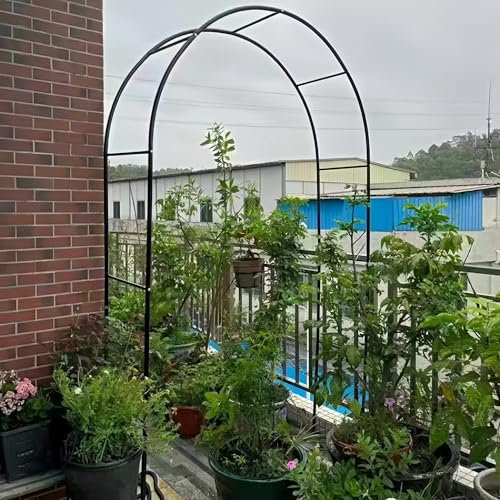 Romantic Rose Arch Garden Pavilion for Climbing Plants and Vegetables Iron Steel Frame Outdoor Support Arch for Garden Decoration