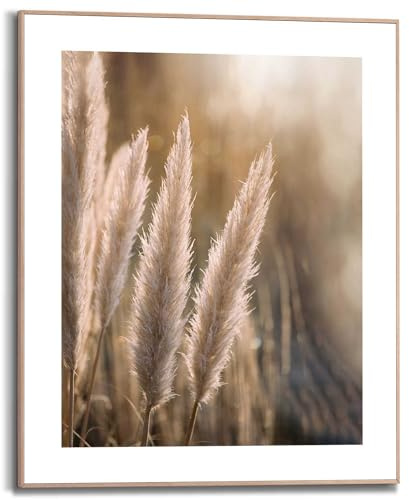 REINDERS Gerahmtes Bild, Pampas, Home Office, Bilder, Wanddeko, Room Decor, MDF, Beige, 50 x 40