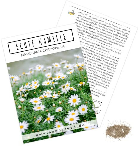 Echte Kamille Samen (Matricaria chamomilla) - Krautige, vielseitige Heilpflanze oder als Beimischung für eine bunte Blumenwiese