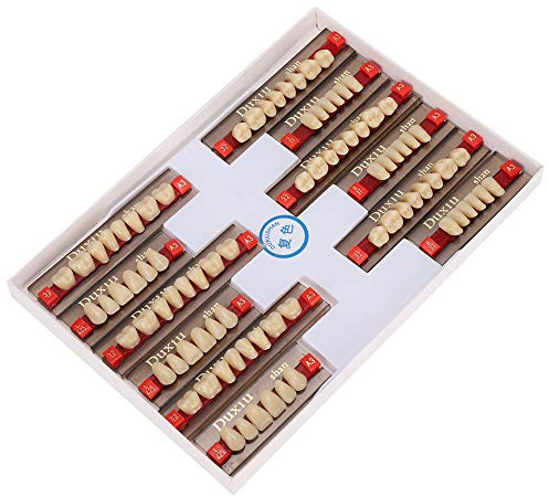 Denti Finti, Superficie di Pulizia dei Denti in Resina Adesiva Impeccabile e Solida Forma Lucida Professionale per la Modellazione