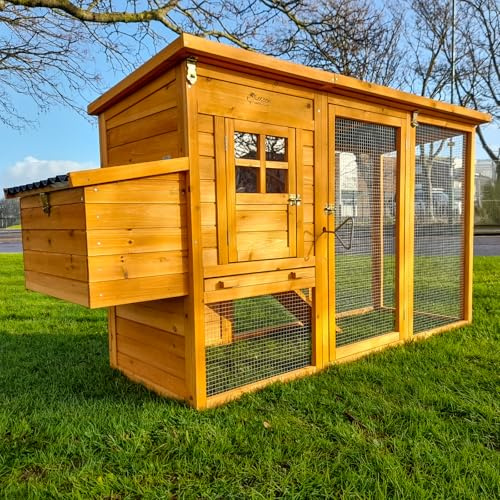 Cocoon ECO 2000 Chicken Coop – Compact Wooden Hen House with Covered Run, Rot-Proof Plastic Roofs, Rear Ventilation & Pull-Out Tray – Ideal for 2–4 Birds
