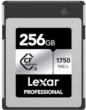 Lexar Professional SILVER Series 256GB CFexpress Card, Type B CFe Card up to 1750MB/s Read, CF Card Adopt PCIe Gen3x2, CF Memory Card Compatible with DSLR, Backward with XQD Camera (LCXEXSL256G-RNENG)
