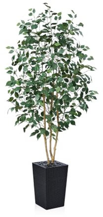 VeriNatural Artificial Ficus Tree 180 cm - Lifelike Fake Plant with Real Wooden Trunk, Green Silk Leaves - UV Resistant Faux Tree with Black Taper Planter for Home Indoor and Outdoor Decoration, VN129