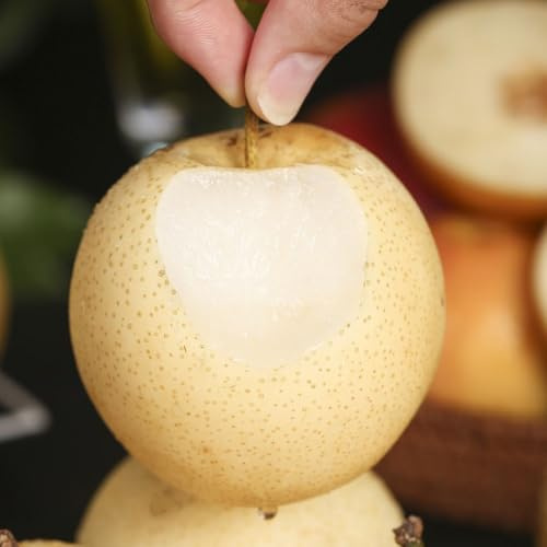 comprar semillas de peral, exóticas, variedades antiguas Invernadero, extremadamente resistentes. 150pcs