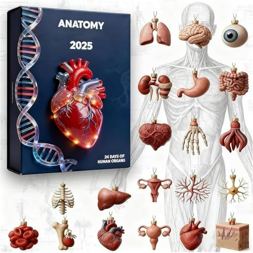 Calendario 'Avvento | Pendente Acrilico 2D Natale 24 Giorni | Calendario Ornamenti Anatomia | Per Casa Ufficio Scuola Laboratori Amanti Infermieri Insegnanti Studenti