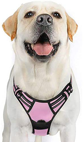 rabbitgoo Pettorina Cane Taglia Grande, Pettorina Cane ad h Regolabile con 2 Ganci in Metallo, Imbracatura per Cani Anti Tiro Riflettente, Imbracatura Traspirante per Addestramento Corsa, Rosa, XL
