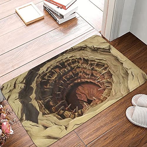 Badteppich 40X60Cm Die Sarlacc-Grube Sauberlaufmatte Waschbar Haustürmatte Resistente Matte Für Außen Haushalt