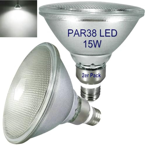 luckmax E27 PAR38 LED Kaltweiss 6000K,Wasserdicht,für Innen-und Außenbereich,Nicht Dimmbar,Strahler Licht,Flutlicht Glühbirne,15W Kaltweiß LED PAR38 Glas Reflektorlampe(Ersetzt 150W Halogen),2er Pack