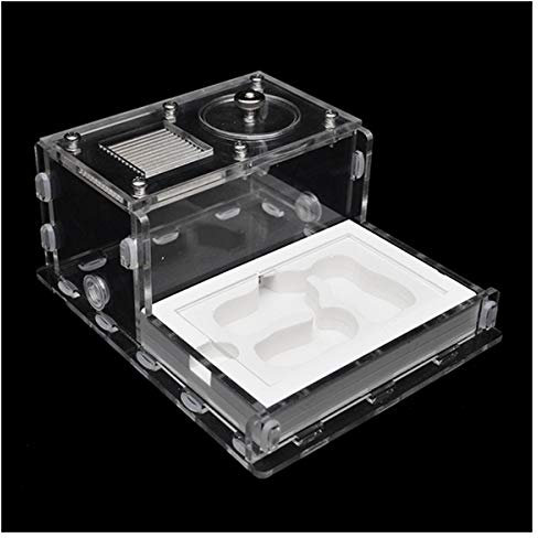 Insektenvilla Ameisennest DIY Acryl Ant Nest Großes Ameisen Haus Glas Gips Ameisenfarm Haustier Ameisennest Insect Villa Ameisenhaufen Werkstatt Wissenschaft Bildungs Geburtstagsgeschenk Geschenk