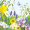 Ambiente - Servietten - Spring Time - Frühling / Blumen / Schmetterling