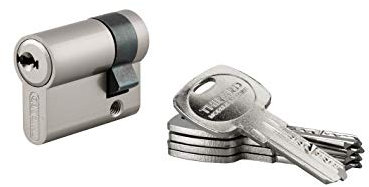 THIRARD - Demi-cylindre de serrure Trafic 6, 30x10mm, anti-arrachement, anti-perçage, nickel, 5 clés