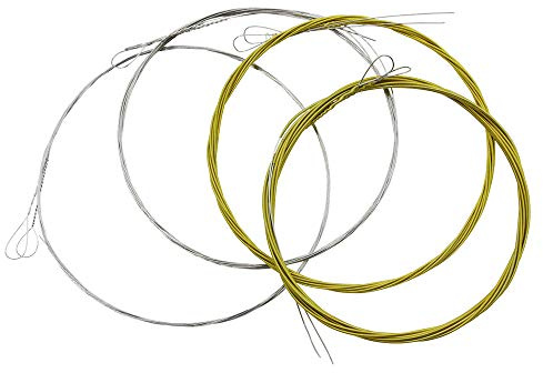 Wakects M101 Mandolin Strings, Bronze Wound Stainless Steel Silver Golden Color 010 034 with Warm Bright Tone for Mandolin Lovers