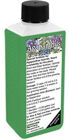 GREEN24 Agapanthus (African Llily, Lily of the Nile) Liquid Fertilizer HighTech NPK, Root, Soil, Foliar, Fertiliser - Prof. Plant Food