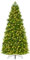 YRHome 180cm Grün Künstlicher Weihnachtsbaum mit Beleuchtung Bunt LED Premium Tannenbaum Künstlich Tannenbaum magische Christbaum Kunstbaum mit PE- & PVC-Zweigen und stabilem Metallständer