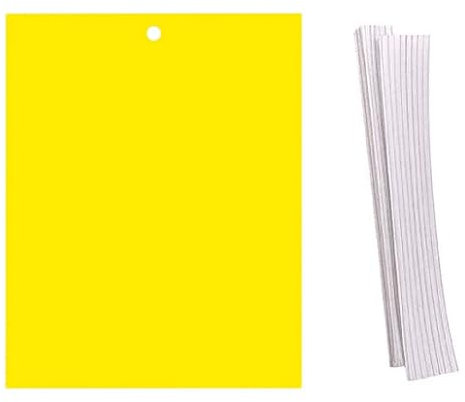 100 trappole cromatiche | Insetti volanti | Alberi da frutto | Serre | Mosche | Parassiti |