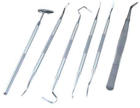 6 herramientas de limpieza dental de acero inoxidable, juego de cuidado dental portátil for el hogar, reutilizable for hombres, mujeres, adultos y mascotas.(2set)