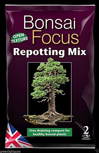 Bonsai Soil -focus repotting mix 2 litre bag