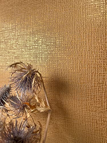 NEWROOM Papier peint Cuivre Brillant Intissé - Couleurs Unies Bronze Orange Unicolore Texture Moderne