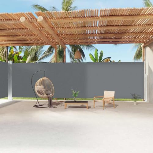 Generico Tenda da Sole Laterale Retrattile Antracite 220x1200 cm,Prato e Giardino,Vita all'aperto,Ombrelloni e parasole-318086