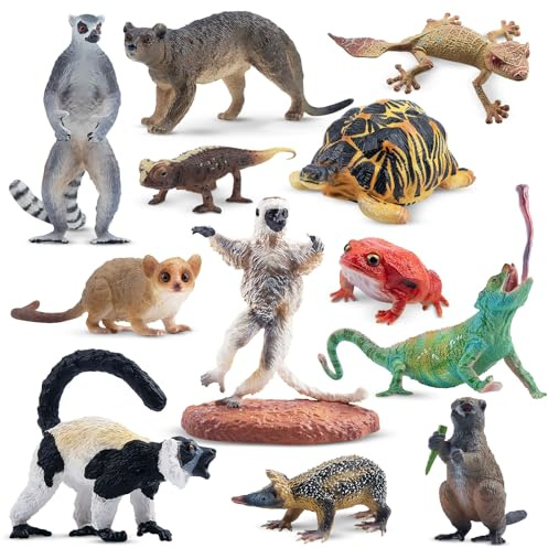 Toymany 12PCS Madagascar Animal Figurines Set, Realistic Lemur Jungle Animal Toys Set Includes Chameleon, Tortoise,Gecko,Fossa,Sifaka -Educational Forest Animals Figure Toy Collection for Kids Adults