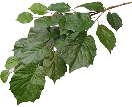 Künstlicher Lindenzweig Lindenblatt Zweig 75cm lang schwer entflammbar mit 25 Blätter - Lindenblätter Dekozweig Kunstzweig