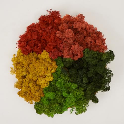 Prefleur Preserved Reindeer Mix Craft Moss Natural Green DIY Kit Gardenning Art Wall Decor Florist Easter Table Decor Wedding Decor (1lb)()(Style-11)