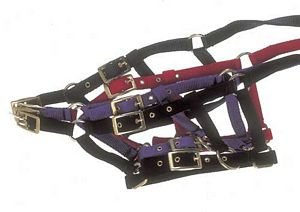 Rhinegold Adjustable Foal Headcollar - Navy